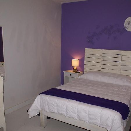 Hotelitto San Miguel San Miguel de Allende Bagian luar foto